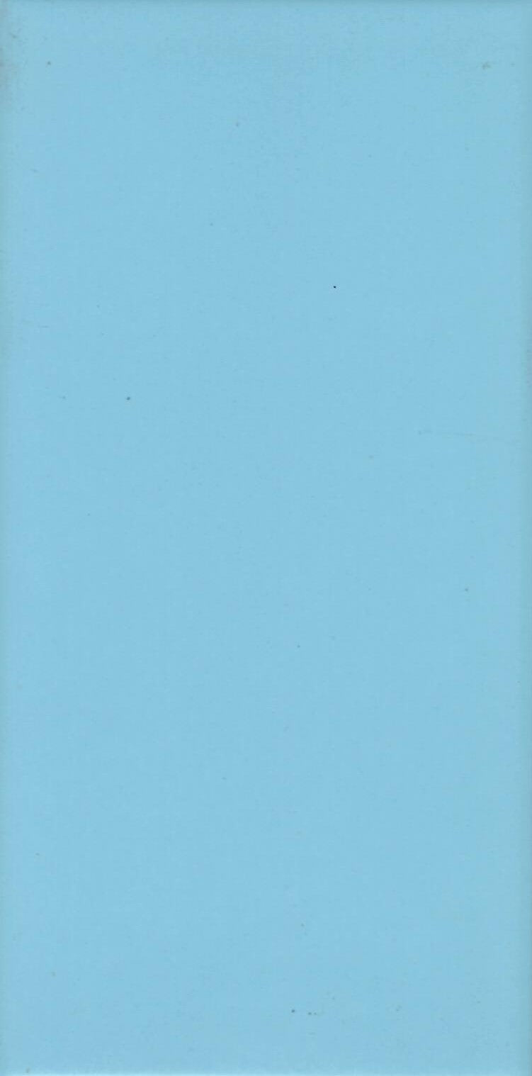 RECER - HSC-5515 - 啞面