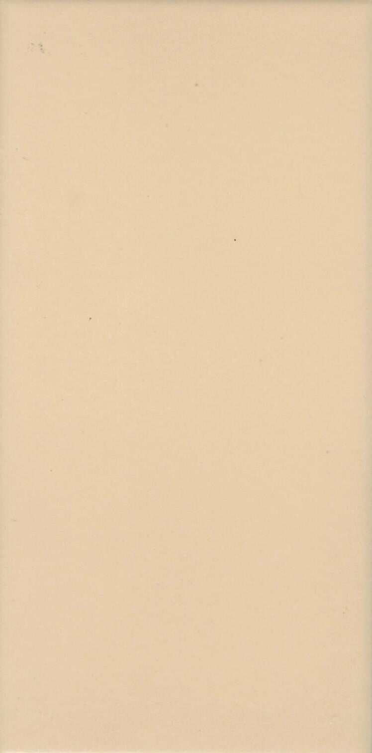RECER - HSC-5542 - 啞面