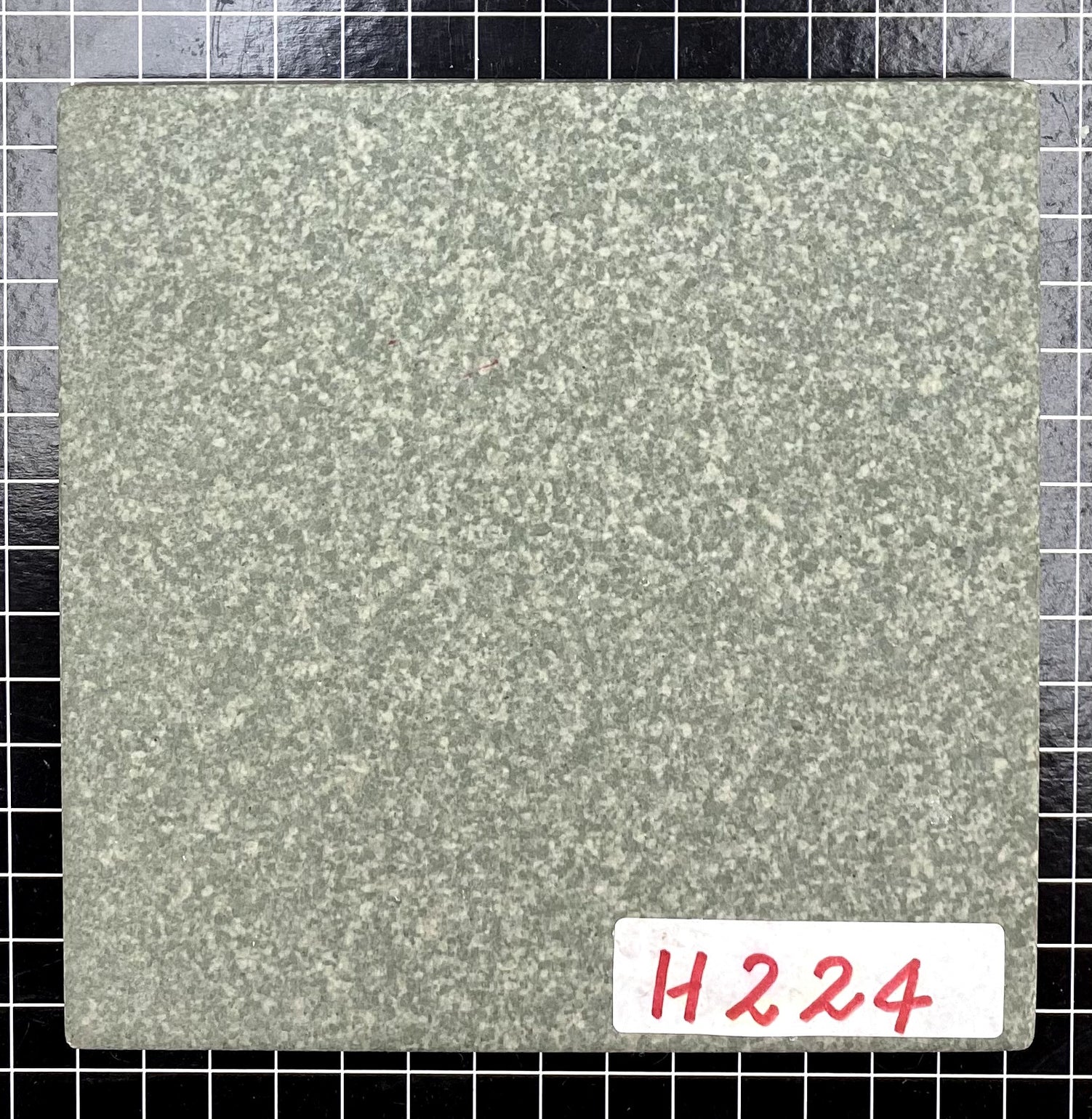 H224