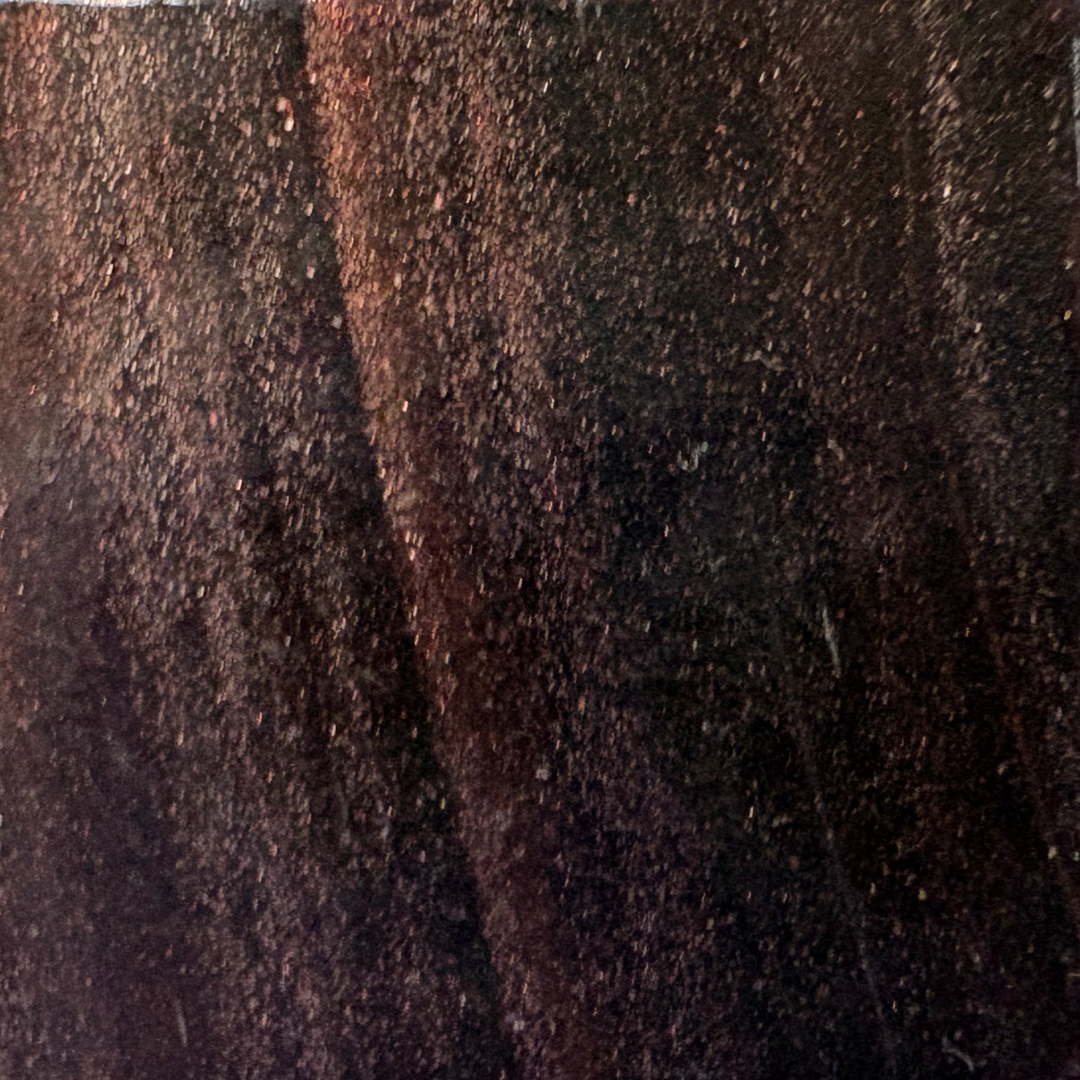 GS06