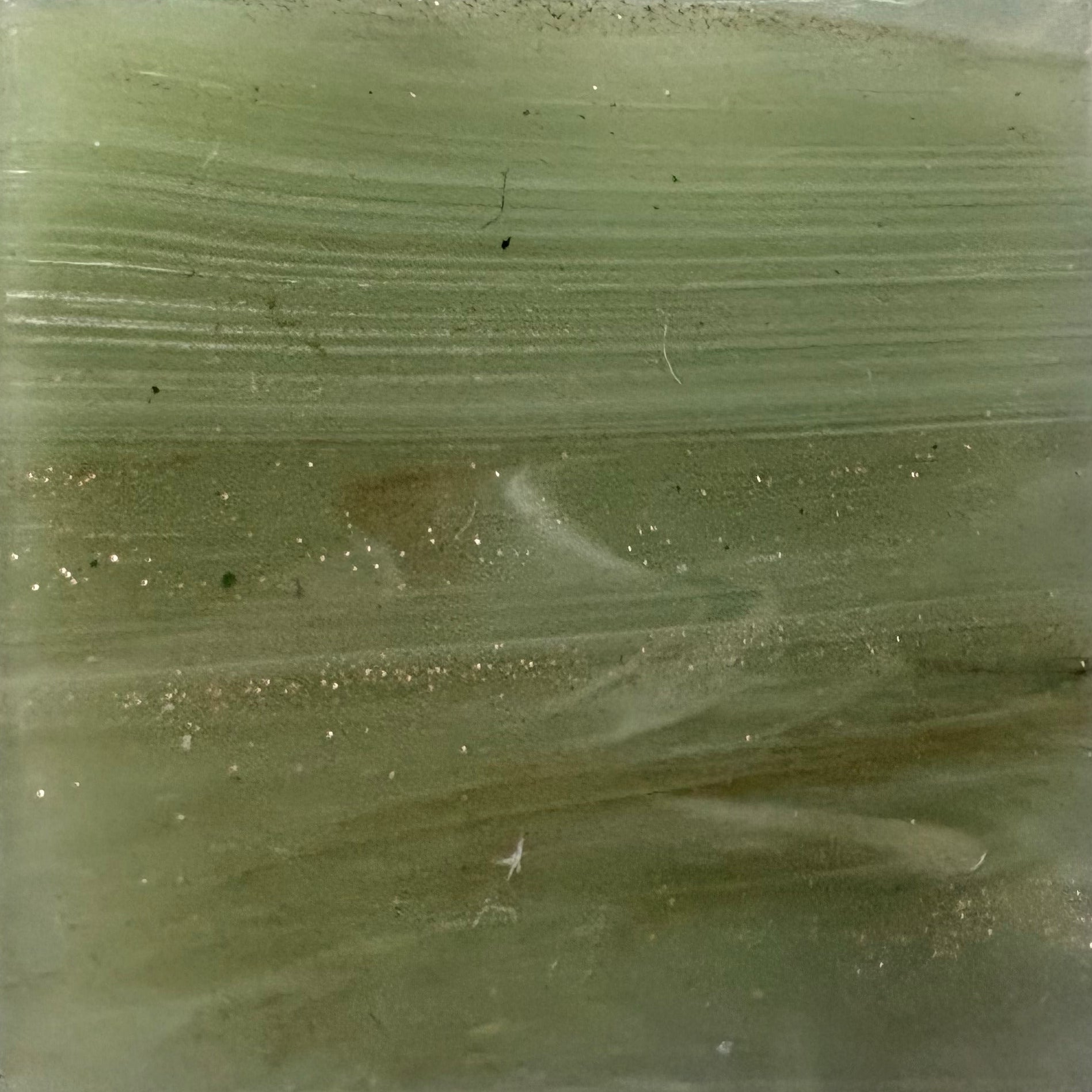 GS24
