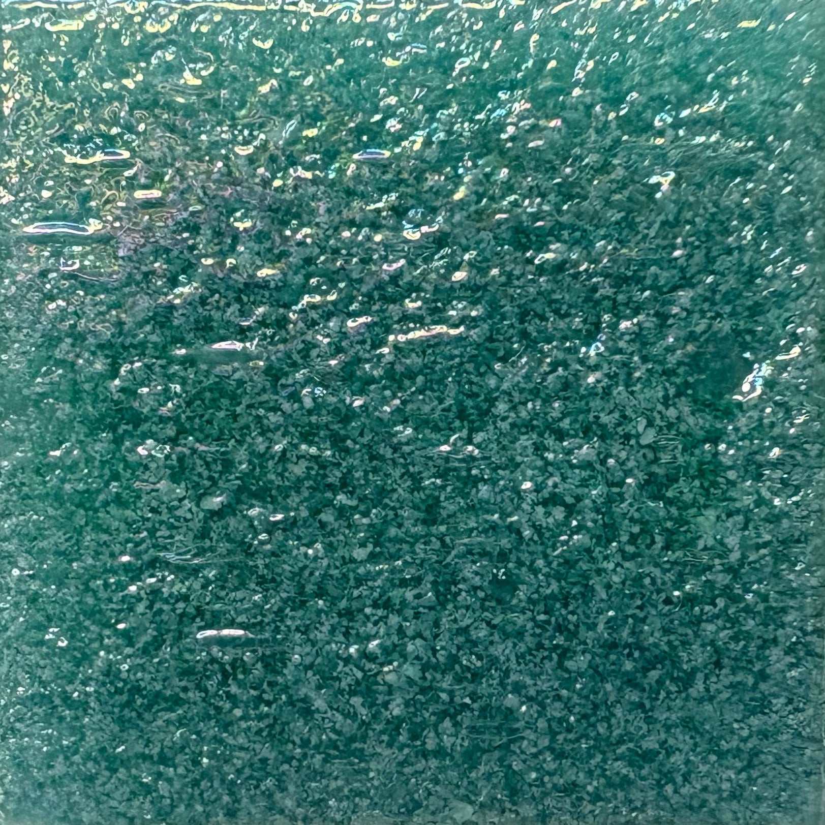 RJ38